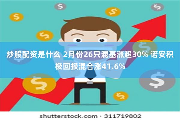 炒股配资是什么 2月份26只混基涨超30% 诺安积极回报混合涨41.6%