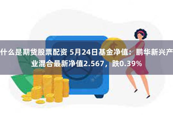 什么是期货股票配资 5月24日基金净值：鹏华新兴产业混合最新净值2.567，跌0.39%