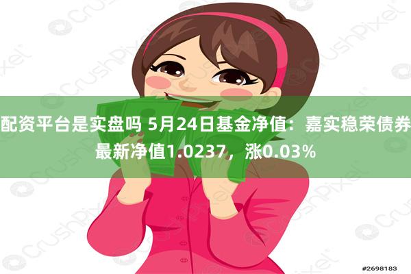 配资平台是实盘吗 5月24日基金净值：嘉实稳荣债券最新净值1.0237，涨0.03%