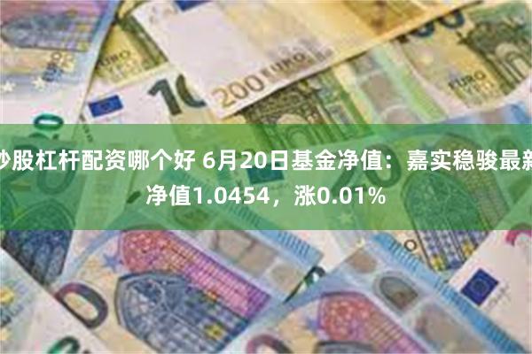 炒股杠杆配资哪个好 6月20日基金净值：嘉实稳骏最新净值1.0454，涨0.01%