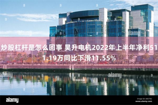 炒股杠杆是怎么回事 昊升电机2022年上半年净利511.19万同比下滑11.55%