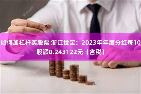 如何加杠杆买股票 浙江世宝：2023年年度分红每10股派0.243122元（含税）