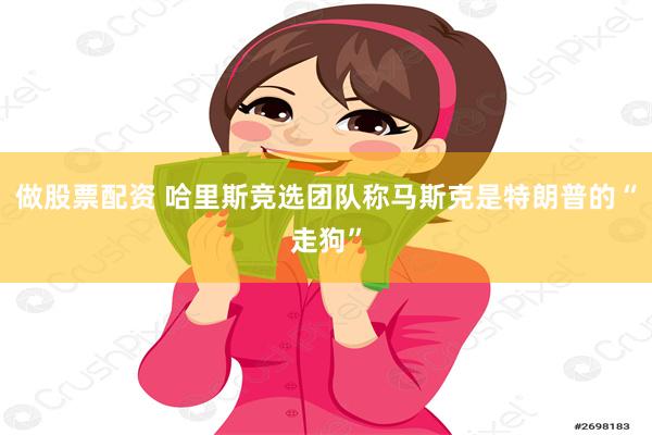 做股票配资 哈里斯竞选团队称马斯克是特朗普的“走狗”