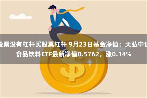 股票没有杠杆买股票杠杆 9月23日基金净值：天弘中证食品饮料ETF最新净值0.5762，涨0.14%