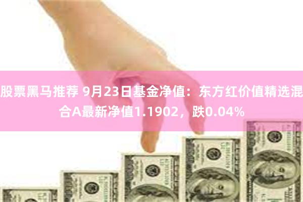 股票黑马推荐 9月23日基金净值：东方红价值精选混合A最新净值1.1902，跌0.04%