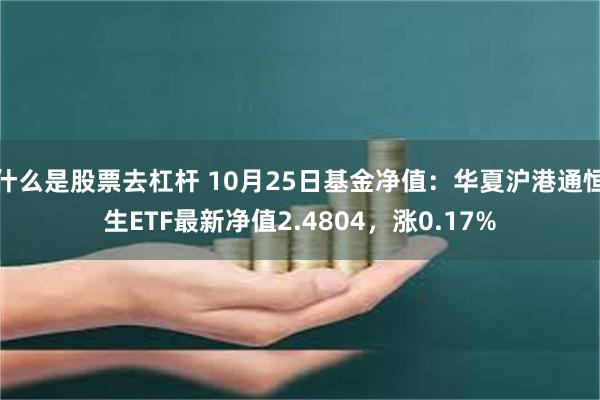 什么是股票去杠杆 10月25日基金净值：华夏沪港通恒生ETF最新净值2.4804，涨0.17%