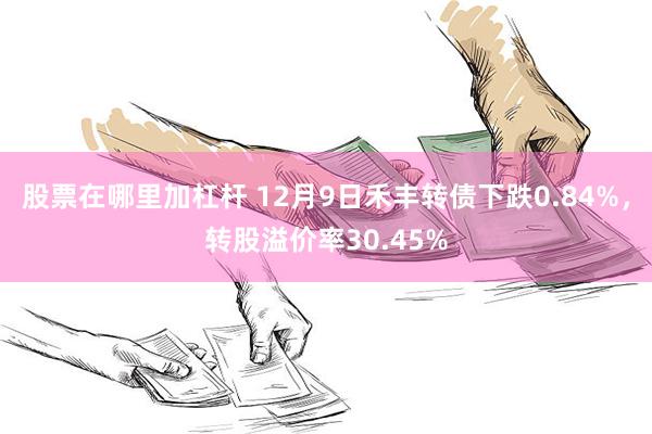 股票在哪里加杠杆 12月9日禾丰转债下跌0.84%，转股溢价率30.45%