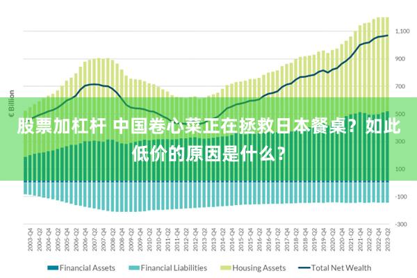 股票加杠杆 中国卷心菜正在拯救日本餐桌？如此低价的原因是什么？