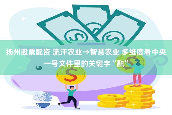 扬州股票配资 流汗农业→智慧农业 多维度看中央一号文件里的关键字“融”